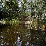Bohome Balaton (adults Only) Apartamento Balatonakali