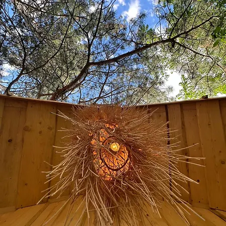 Apartment Bohome Balaton (adults Only) Balatonakali