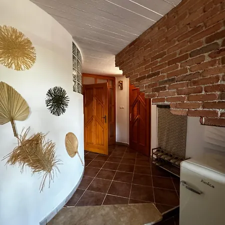 Bohome Balaton (adults Only) 公寓 鲍洛托瑙考利