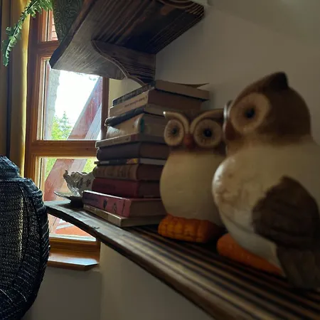 公寓 Bohome Balaton (adults Only) 鲍洛托瑙考利