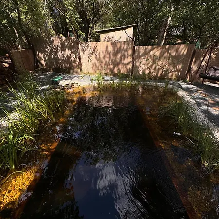 Bohome Balaton (adults Only) * 鲍洛托瑙考利