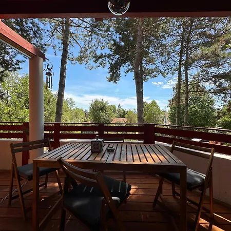 公寓 Bohome Balaton (adults Only) 鲍洛托瑙考利