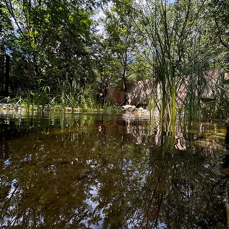 Bohome Balaton (adults Only) Apartment Balatonakali