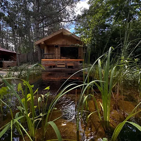 Apartment Bohome Balaton (adults Only) *