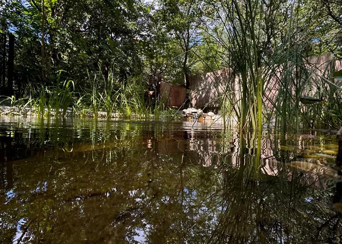 Bohome Balaton (adults Only) Apartment Balatonakali